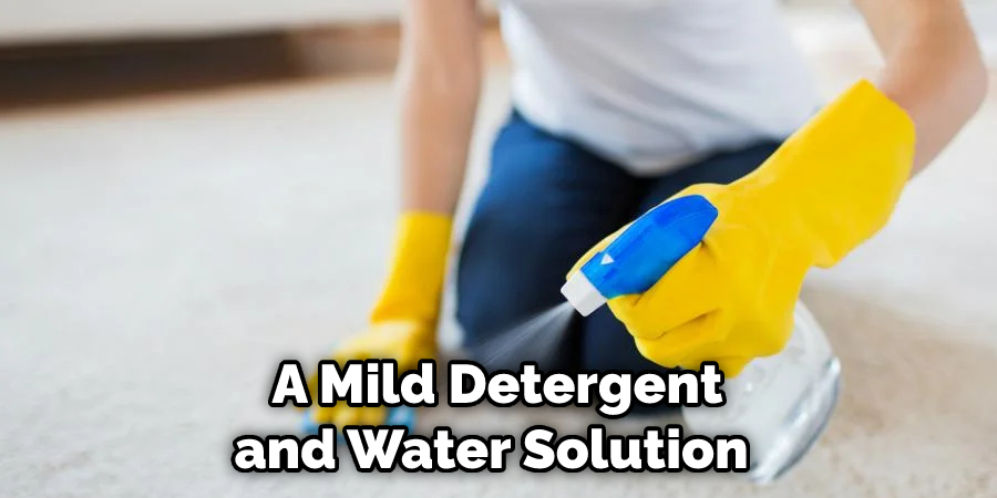 A Mild Detergent and Water Solution 