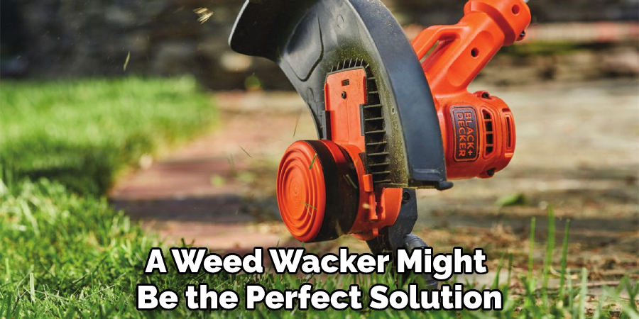 A Weed Wacker Might Be the Perfect Solution