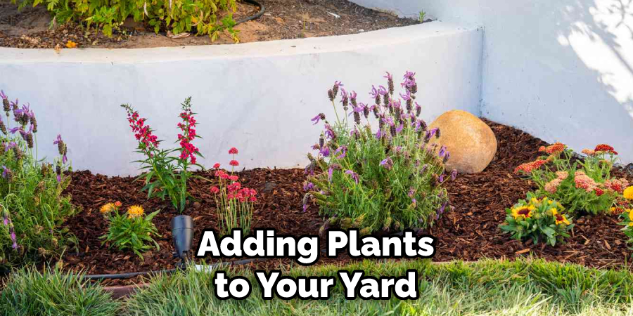 Adding Plants to Your Yard
