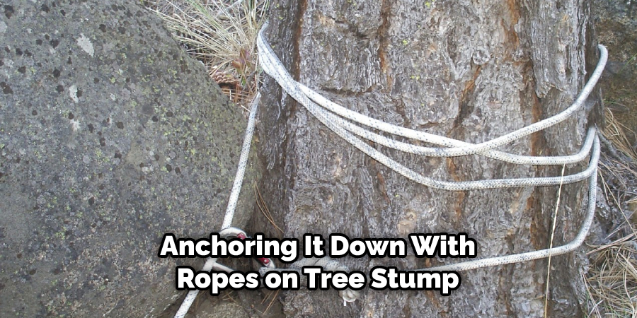 Anchoring It Down With Ropes on Tree Stump