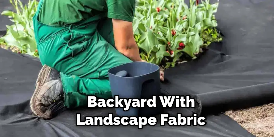 Backyard With Landscape Fabric
