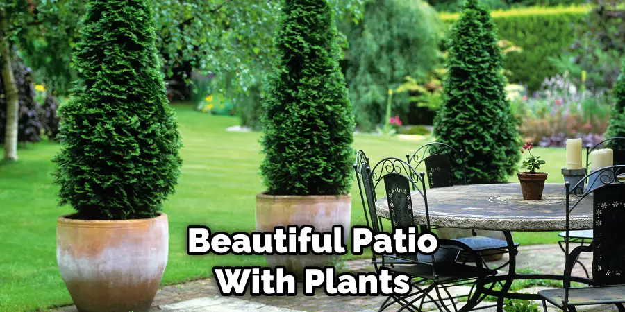 Beautiful Patio With Plants