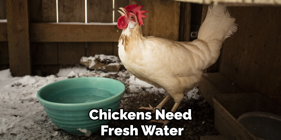 Chickens Need Fresh Water