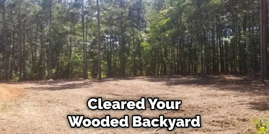 Cleared Your Wooded Backyard