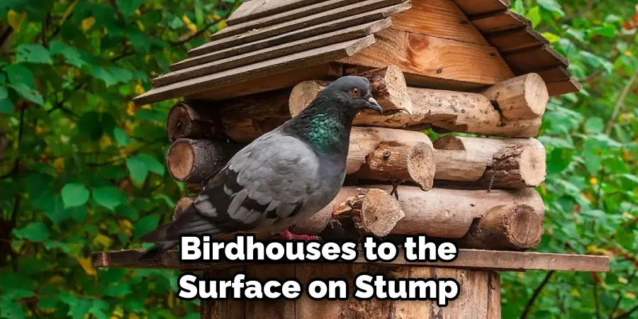 Birdhouses to the Surface on Stump