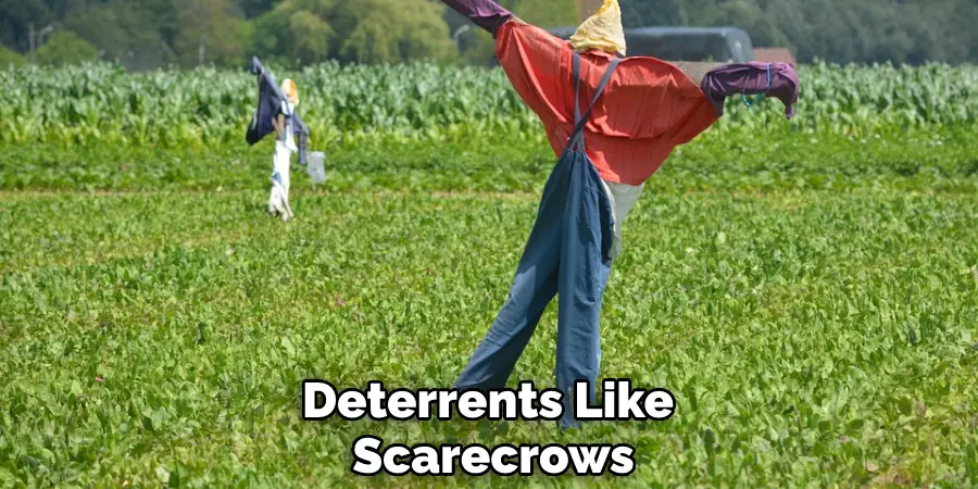Deterrents Like Scarecrows