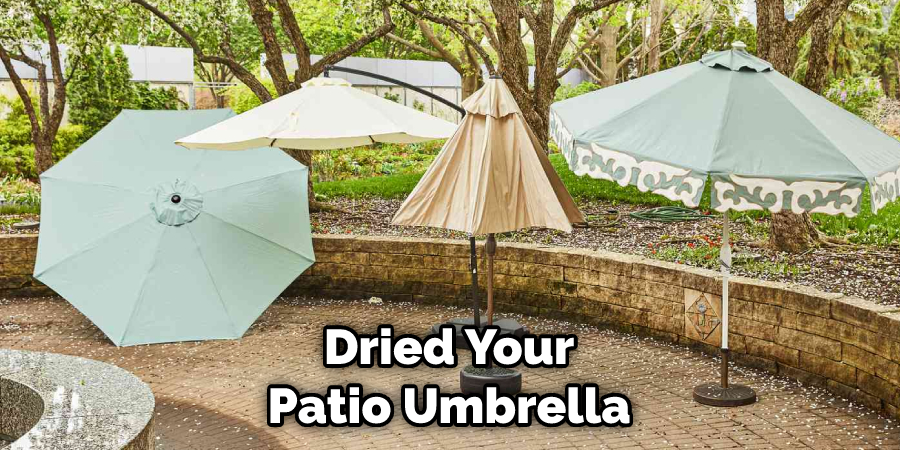 Dried Your Patio Umbrella