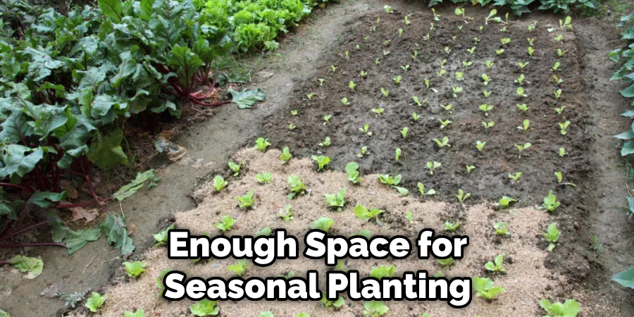 Enough Space for Seasonal Planting