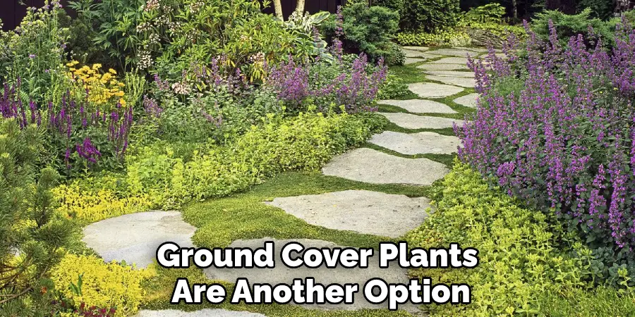 Ground Cover Plants Are Another Option