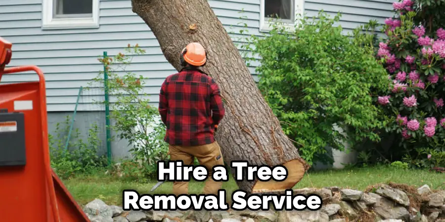 Hire a Tree Removal Service