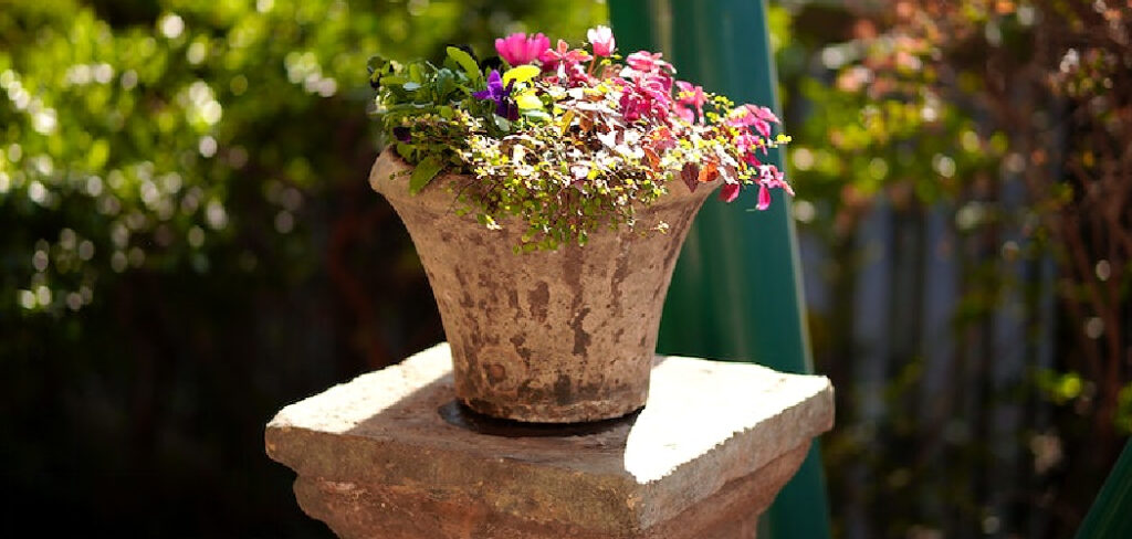 How to Arrange Potted Plants on a Small Patio