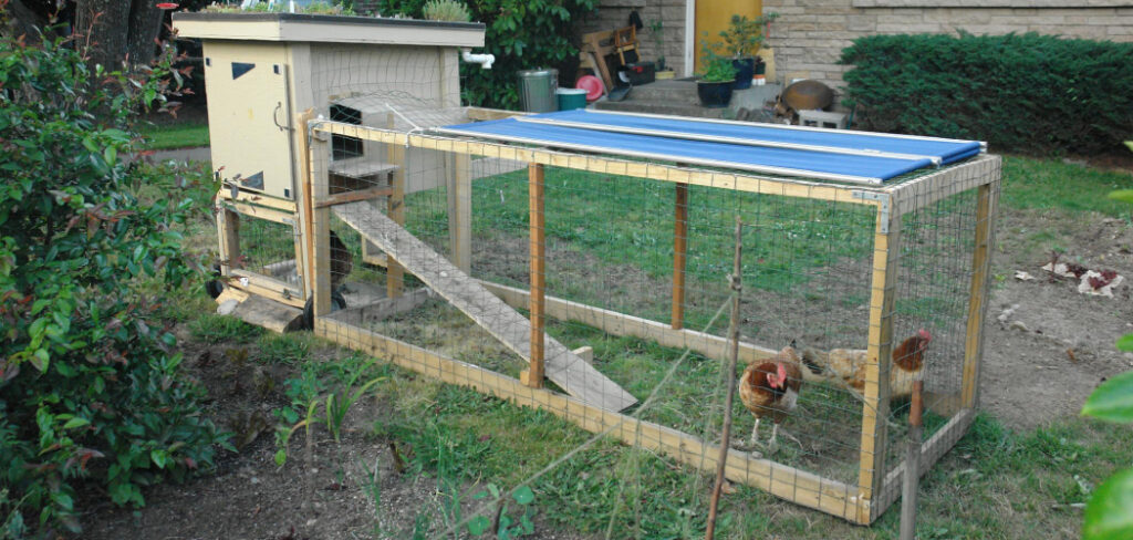 How to Keep Chickens in Your Yard Without a Fence