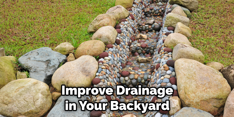 Improve Drainage in Your Backyard