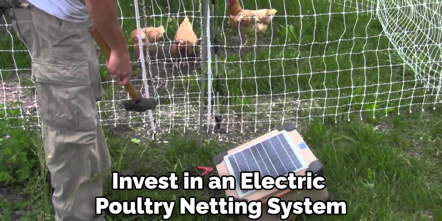 Invest in an Electric Poultry Netting System