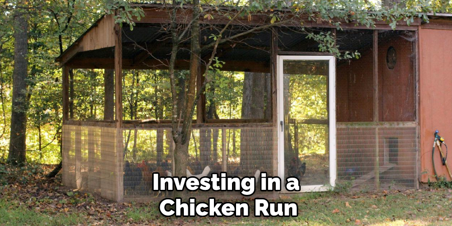 Investing in a Chicken Run