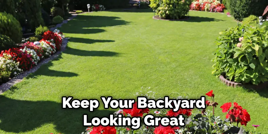 Keep Your Backyard Looking Great