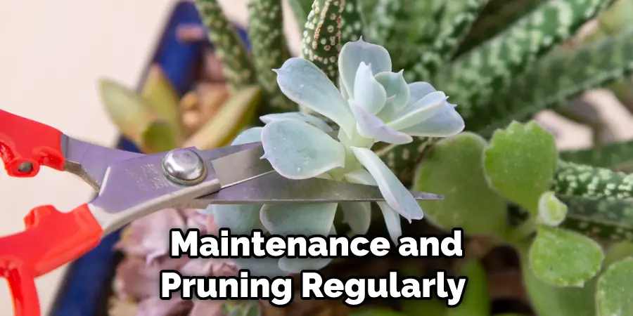 Maintenance and Pruning Regularly 