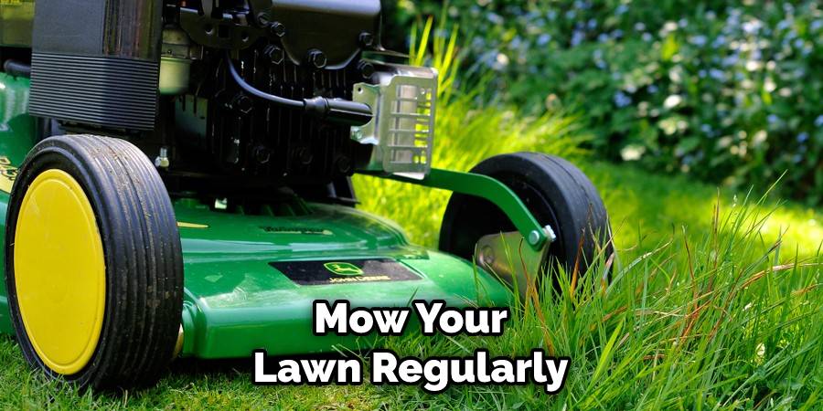 Mow Your Lawn Regularly
