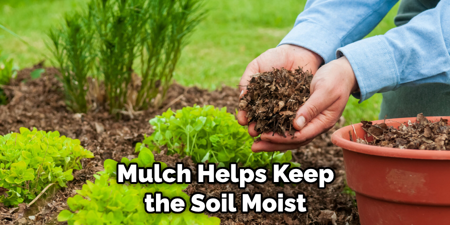Mulch Helps Keep the Soil Moist