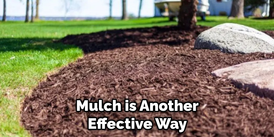Mulch is Another Effective Way