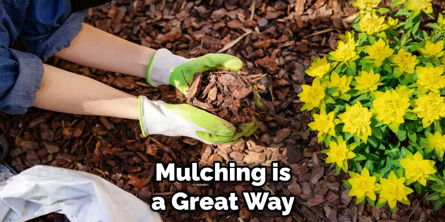 Mulching is a Great Way