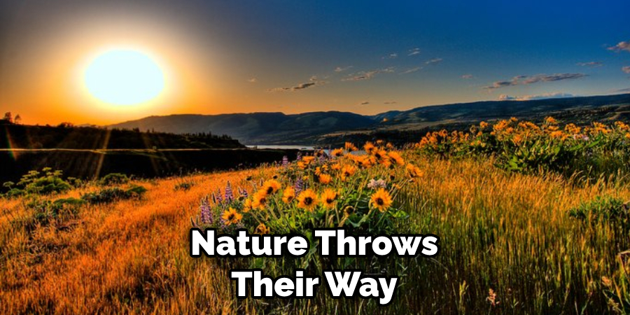 Nature Throws Their Way
