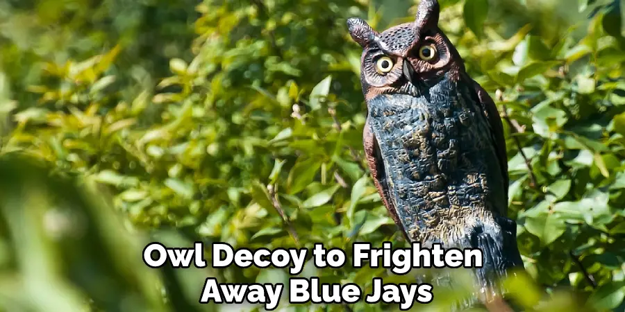 Owl Decoy to Frighten Away Blue Jays