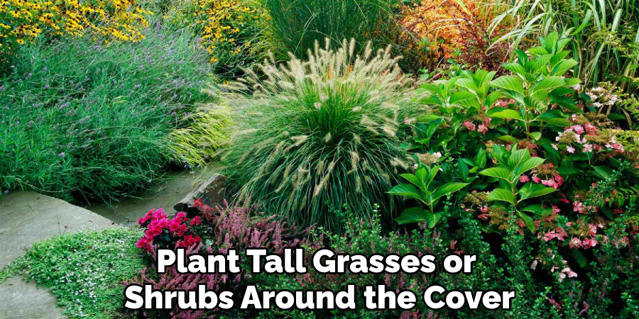 Plant Tall Grasses or Shrubs Around the Cover