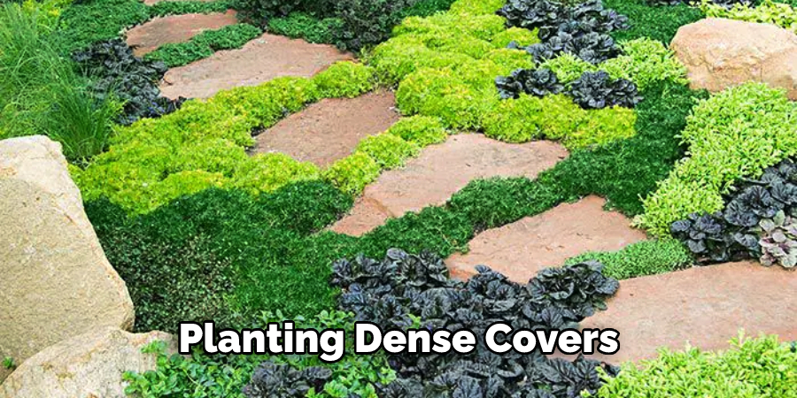 Planting Dense Covers