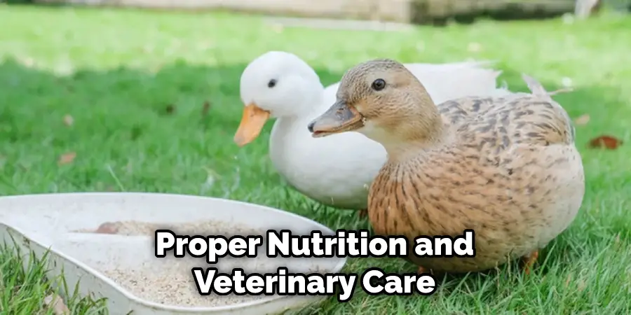 Proper Nutrition and Veterinary Care