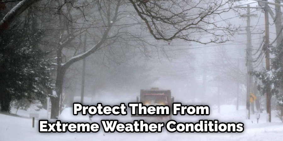Protect Them From Extreme Weather Conditions