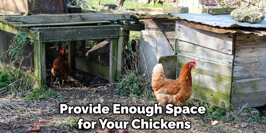 Provide Enough Space for Your Chickens