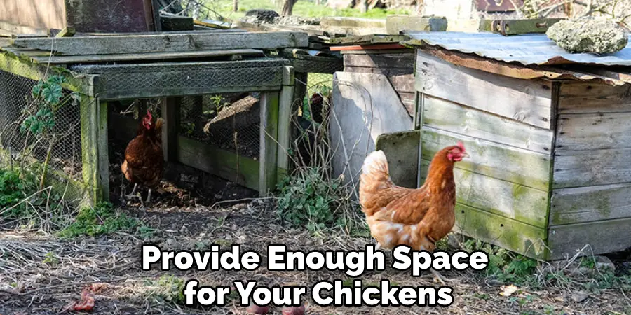 Provide Enough Space for Your Chickens