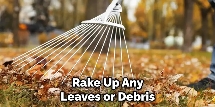 Rake Up Any Leaves or Debris