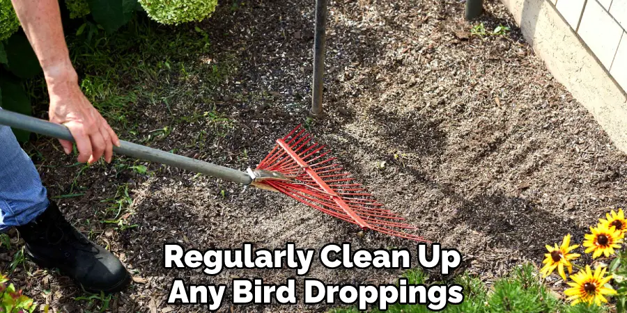 Regularly Clean Up Any Bird Droppings