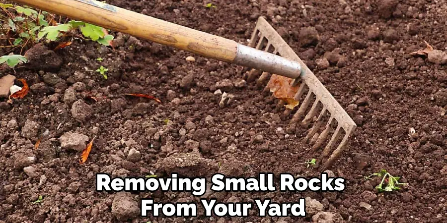 Removing Small Rocks From Your Yard