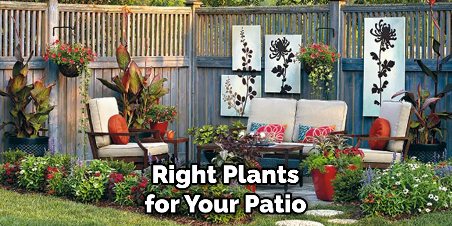 Right Plants for Your Patio