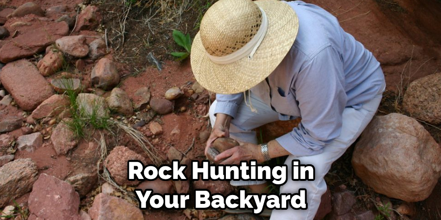 Rock Hunting in Your Backyard