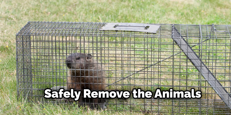 Safely Remove the Animals