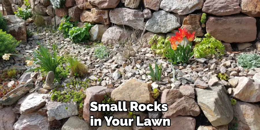 Small Rocks in Your Lawn