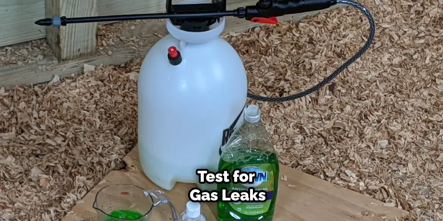Test for Gas Leaks