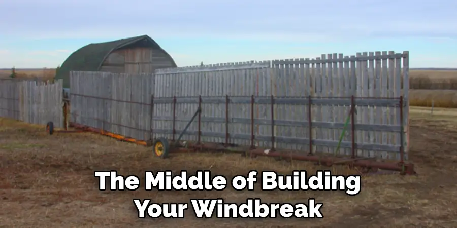 The Middle of Building
Your Windbreak