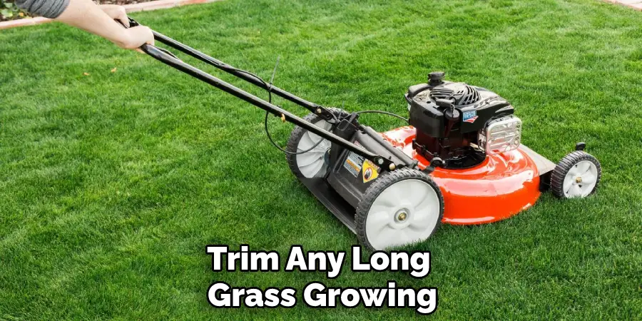 Trim Any Long Grass Growing