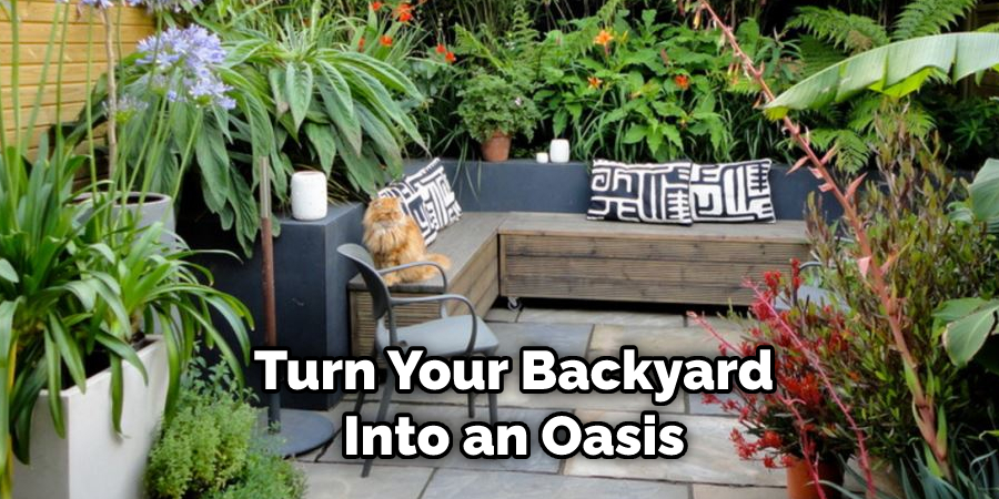 Turn Your Backyard Into an Oasis