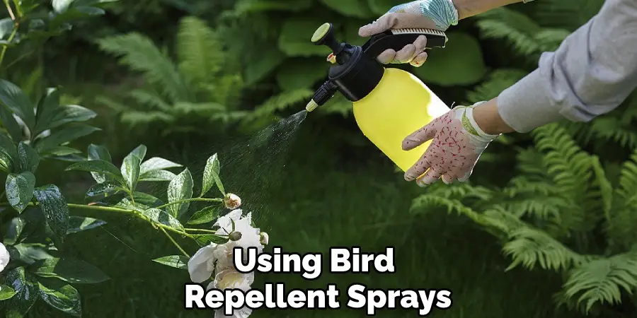 Using Bird-repellent Sprays
