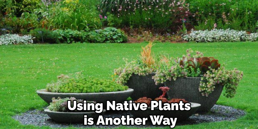 Using Native Plants is Another Way