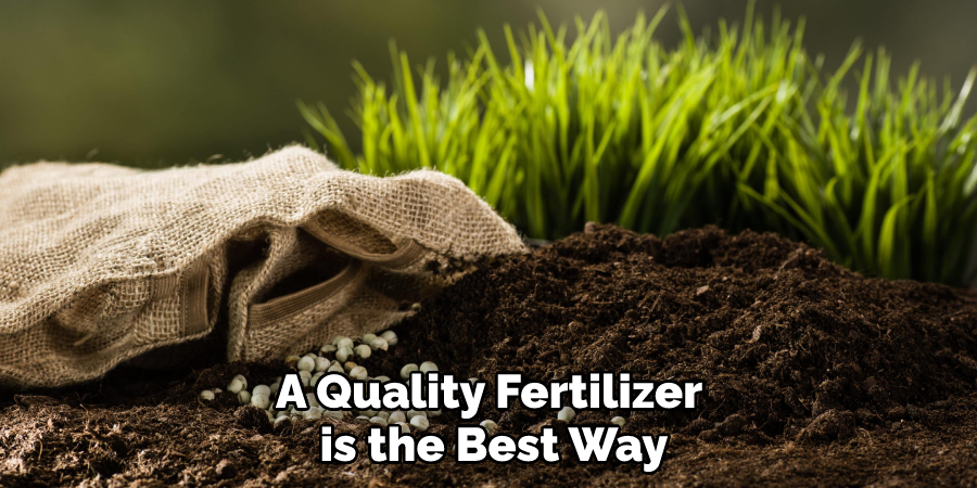 A Quality Fertilizer is the Best Way