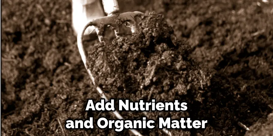 Add Nutrients and Organic Matter