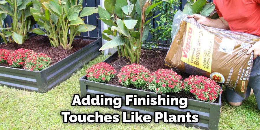 Adding Finishing Touches Like Plants