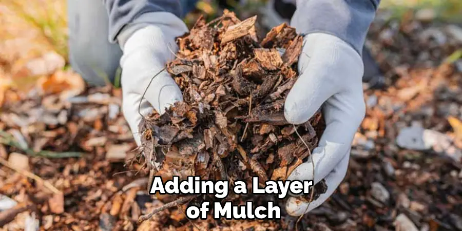 Adding a Layer of Mulch